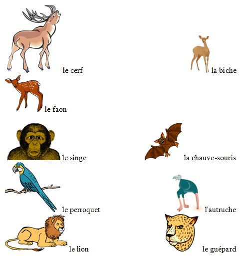 Животные на французском языке