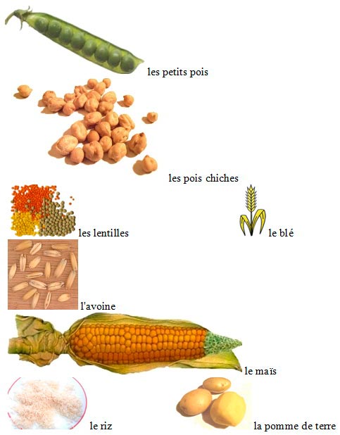 слова на французском по теме Овощи  в картинках