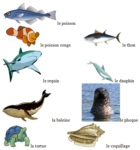 Мориске животные (рыбы, крабы, ракушки…) на французском языке