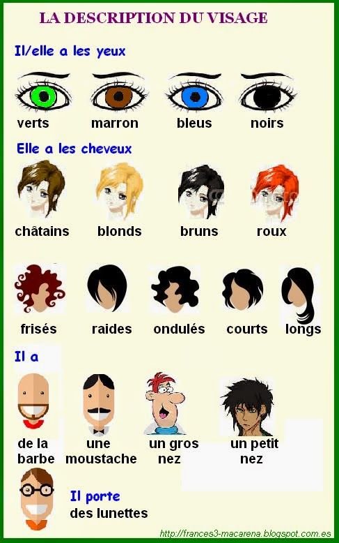 Как по-французски волосы перевод